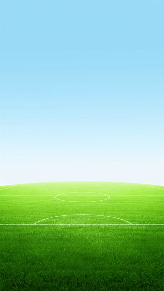 A green soccer field with sky — from the Goooal game